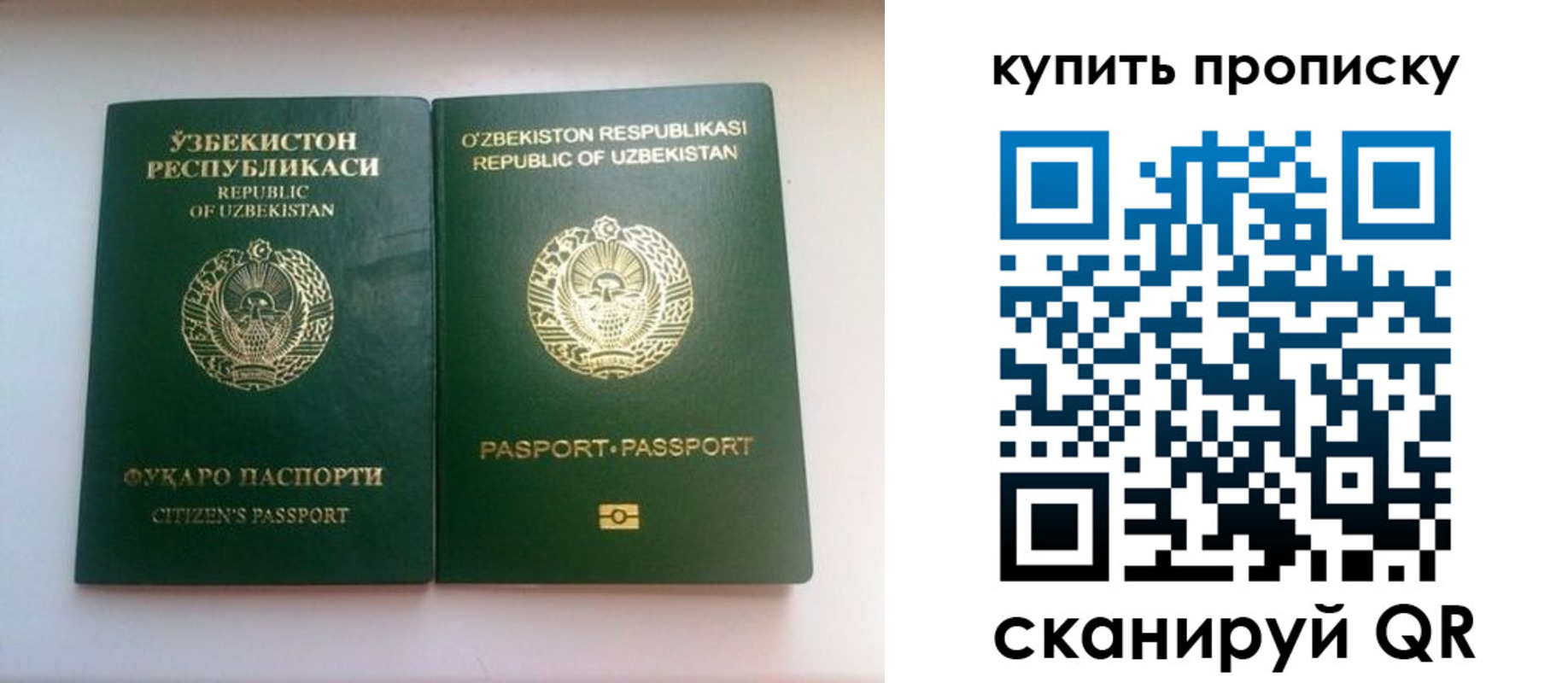 временная прописка в Новопавловске